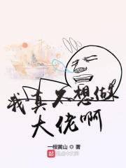我真的不想做大佬