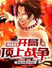 海贼开局从顶上战争
