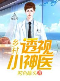 乡村透视小神医 秦