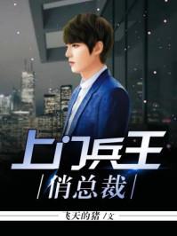 女总裁的上门兵王肖宇