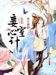 妾室心计百度