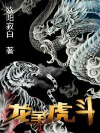 龙争虎斗最佳答案生肖