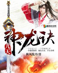 九天神龙诀等级划分划分