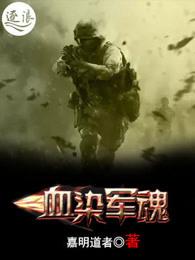 血染军魂免费全文阅读