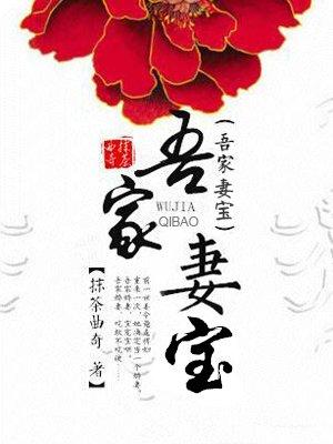 吾家妻宝txt