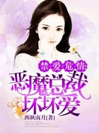 恶魔总裁坏坏爱慕轩宸免费阅读