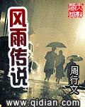 风雨是啥游戏