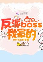 快穿之反派boss日日