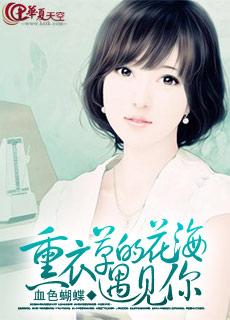 薰衣草花海的图片