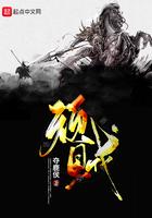 顽贼 夺鹿侯好看吗