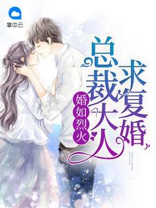 婚如烈火:总裁大人求复婚