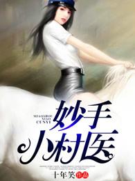 妙手小村医