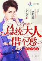 总统大人,借个婚!