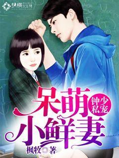 钟少私宠:呆萌小鲜妻