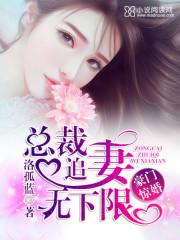 豪门惊婚:总裁追妻无下限