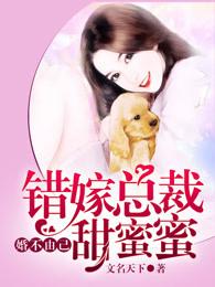 婚不由己,错嫁总裁甜蜜蜜