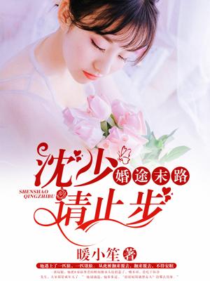 婚途末路:沈少请止步