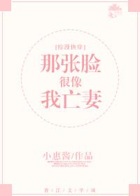 那张脸很像我亡妻[综漫快穿]