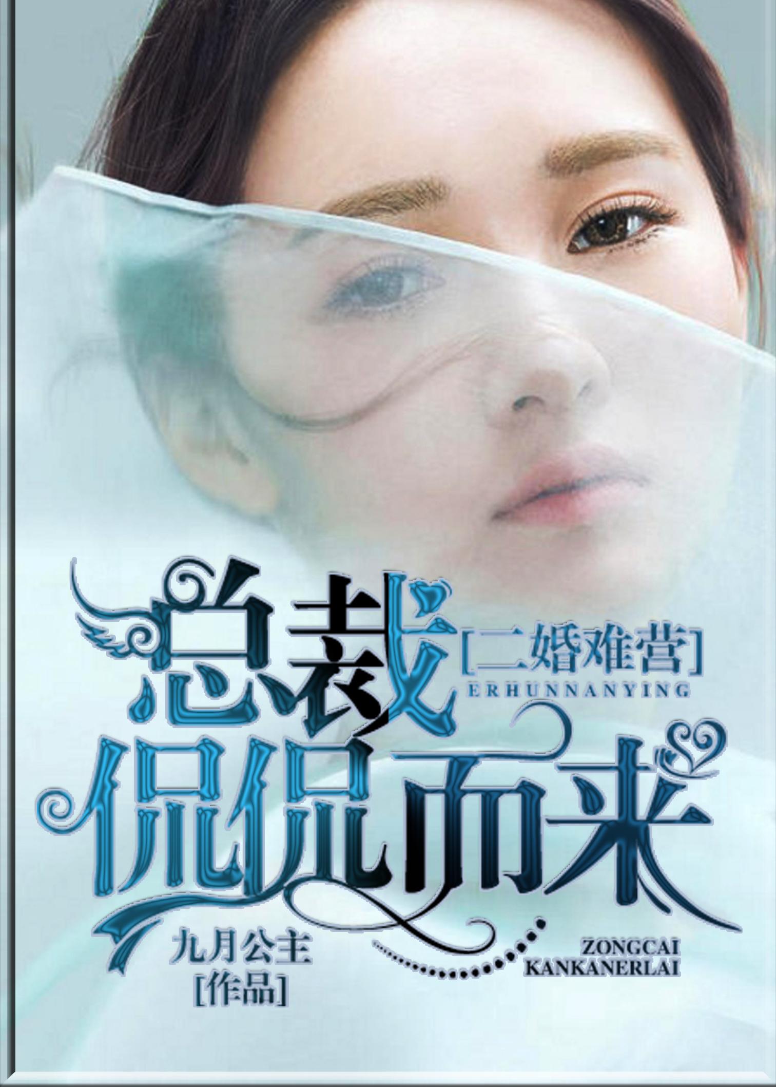 二婚难营:总裁侃侃而来