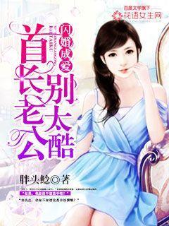 闪婚成爱:首长老公别太酷