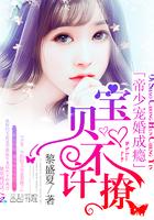 帝少宠婚成瘾:宝贝,不许撩