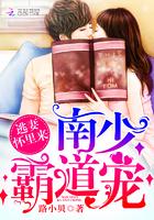 南少霸道宠:逃妻,怀里来!