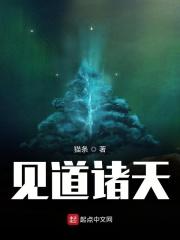 见道诸天