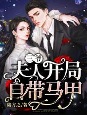 三爷,夫人开局自带马甲