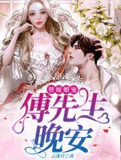 替嫁婚宠:傅先生晚安!